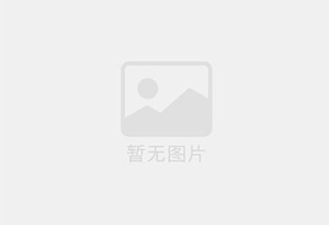 纯天然绿色风干豆角丝